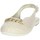 Chaussures Fille Ballerines / babies Asso AG-14511 Autres