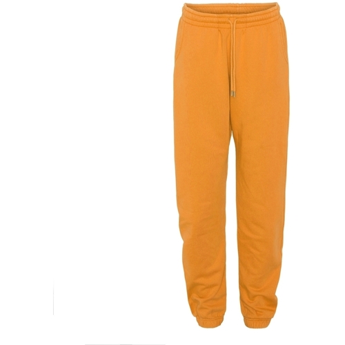Vêtements Pantalons Colorful Standard Jogging  Organic sunny orange Orange