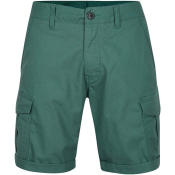 Vêtements Homme Shorts / Bermudas O'neill Short  Beach Break Cargo north atlantic
