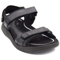 Chaussures Homme Bottines / Boots Ara 11-290002-01 Noir