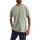 Vêtements Homme T-shirts manches courtes Napapijri NP0A4GBP Vert