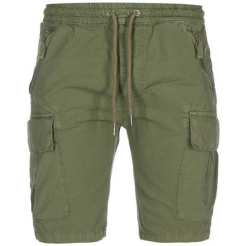 Vêtements Homme Shorts / Bermudas Alpha Short Alpha Vert