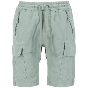 Vêtements Homme Shorts / Bermudas Alpha Short Alpha Vert
