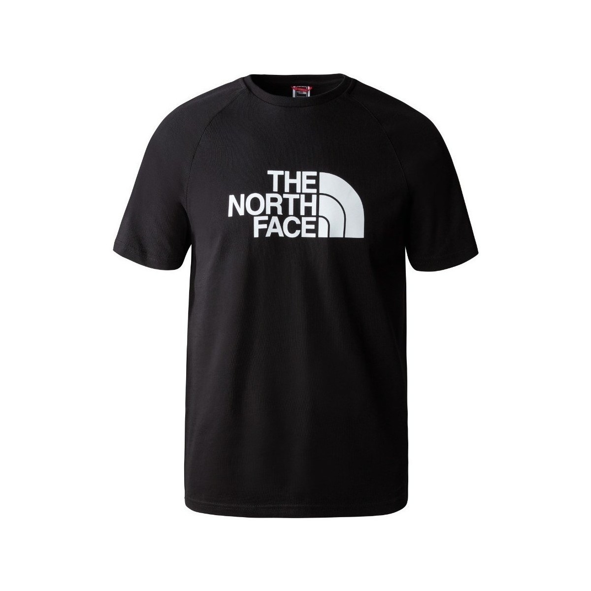 Vêtements Homme T-shirts manches courtes The North Face Raglan Easy Tee Noir