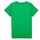 Vêtements Garçon T-shirts manches courtes Levi's BATWING TEE Vert