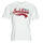 Vêtements Homme T-shirts t-shirt manches courtes Jack & Jones JJELOGO TEE SS O-NECK 2 COL AW23 SN Blanc