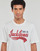 Vêtements Homme T-shirts t-shirt manches courtes Jack & Jones JJELOGO TEE SS O-NECK 2 COL AW23 SN Blanc