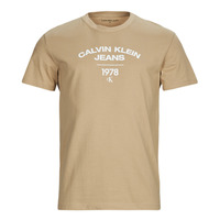 Vêtements Homme T-shirts manches courtes Calvin Klein Jeans VARSITY CURVE LOGO T-SHIRT Beige