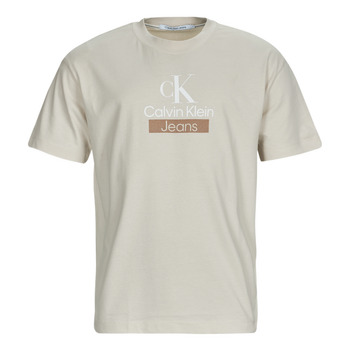 Vêtements Homme T-shirts manches courtes Calvin Klein Jeans STACKED ARCHIVAL TEE Beige