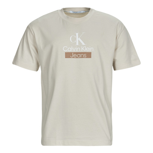 Vêtements Homme T-shirts Jackets courtes Calvin Klein Jeans STACKED ARCHIVAL TEE Beige
