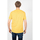 Vêtements Homme T-shirts manches courtes Pepe jeans PM508536 | Treyson Jaune
