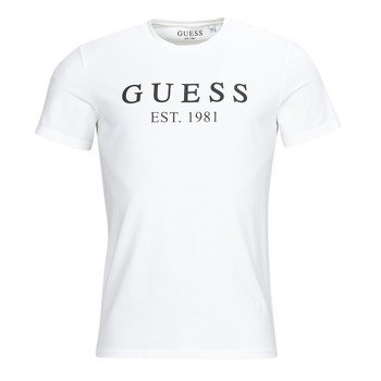 Vêtements Homme T-shirts manches courtes Guess CN SS TEE Blanc