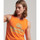 Vêtements Homme Débardeurs / T-shirts sans manche Superdry Vintage venue neon Orange