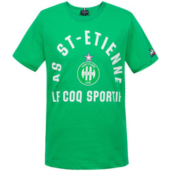 Vêtements Enfant T-shirts manches courtes Le Coq Sportif 2021255 Vert