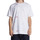 Vêtements Homme T-shirts & Polos DC Shoes Tighten Up Blanc