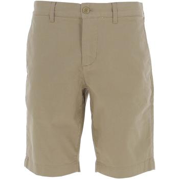 Vêtements Homme Shorts / Bermudas Lacoste Bermudas core essentials Beige
