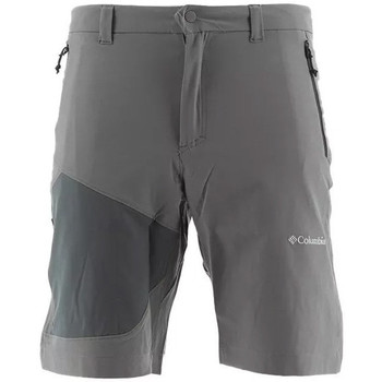 Vêtements Homme Shorts / Bermudas Columbia Short Gris