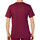 Vêtements Homme T-shirts manches courtes Sergio Tacchini ST-103.20038 Rouge