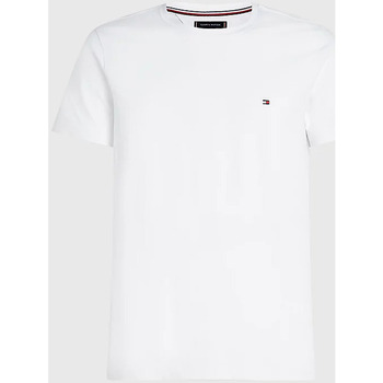 Vêtements Homme T-shirts & Polos Tommy Hilfiger MW0MW27539 Blanc