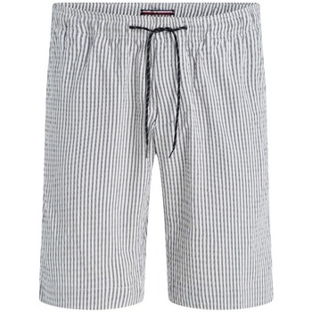 Vêtements Homme Shorts / Bermudas Tommy crest Hilfiger MW0MW31236 Blanc