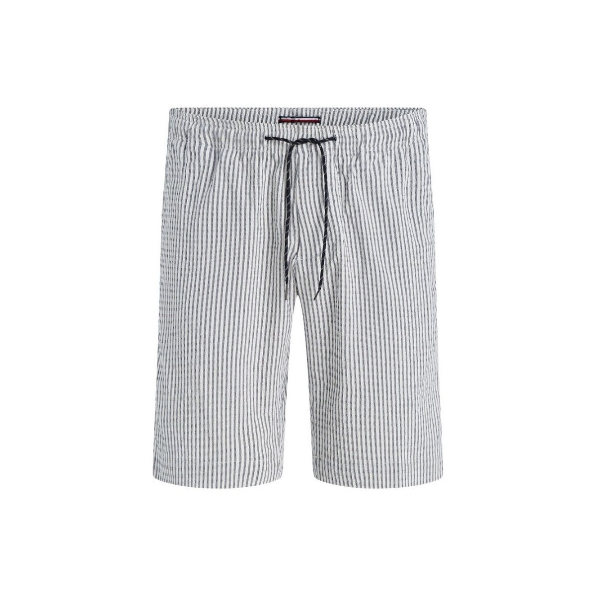 Vêtements Homme Shorts / Bermudas Tommy Hilfiger MW0MW31236 Blanc