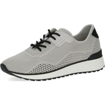 Chaussures Femme Baskets basses Caprice Sneaker Gris