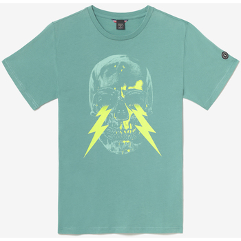 Vêtements Homme Pulls & Gilets Lauren Ralph Lauises T-shirt witek vert d'eau Vert