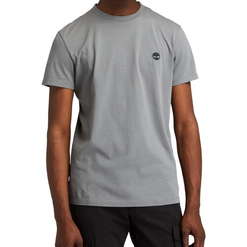 Vêtements Homme T-shirts manches courtes Timberland Tee-Shirt SS Dunstan River Gris