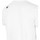 Vêtements Homme T-shirts manches courtes 4F TSM353 Blanc