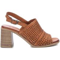 Chaussures Femme Sandales et Nu-pieds Carmela 16065101 Marron