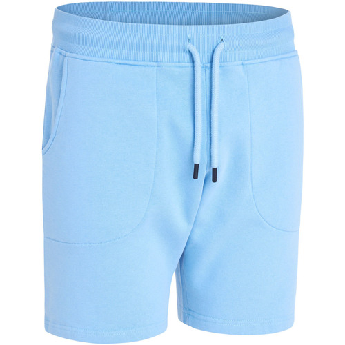 Vêtements Logo Shorts / Bermudas Pullin Jogging Short  DUSK Bleu
