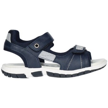 Chaussures Garçon Sandales et Nu-pieds Chicco FARRET 800 Niño Azul marino Bleu