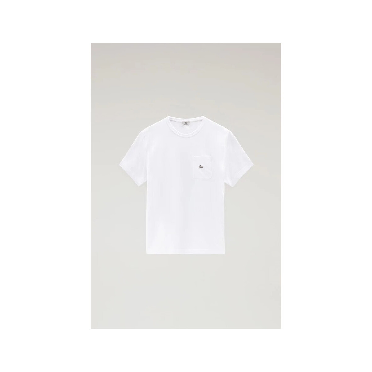 Vêtements Homme T-shirts & Polos Woolrich WOTE0094MR Blanc