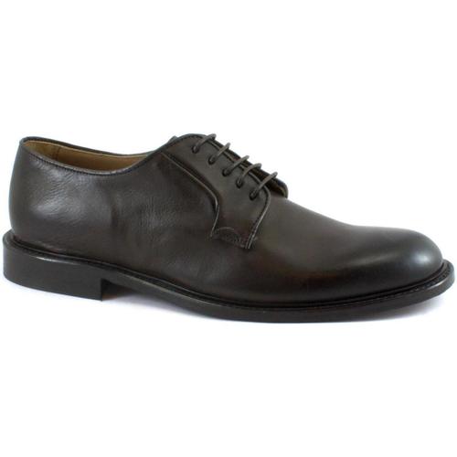 Chaussures Homme Richelieu Franco Fedele FED-E23-6436-TM Marron