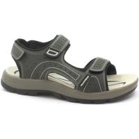 Chaussures Homme Sandales et Nu-pieds Valleverde VAL-E23-54802-GR Gris