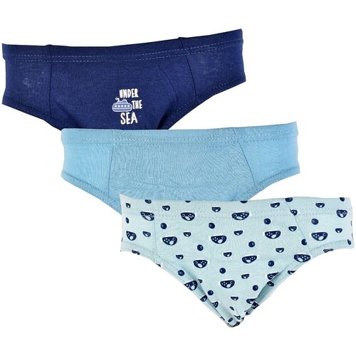 Sous-vêtements Garçon Slips Twinday Pack de 3 421123 In The Sea Boys Multicolore