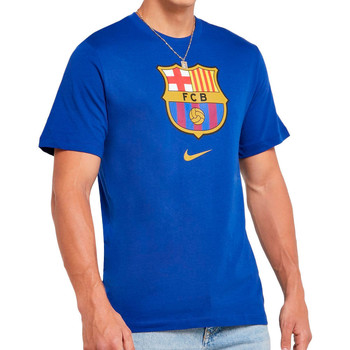 Vêtements Homme T-shirts manches courtes Nike CD3115-455 Bleu