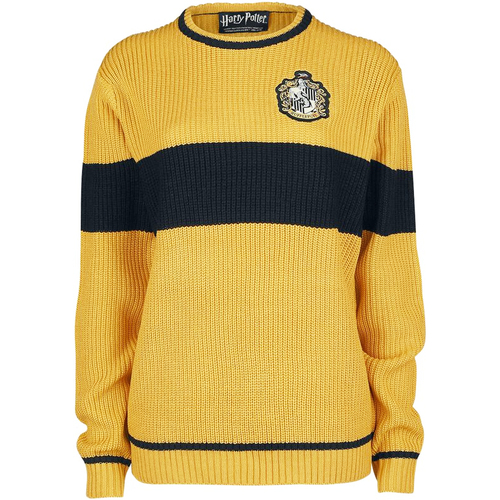 Vêtements Sweats Harry Potter Varsity Multicolore