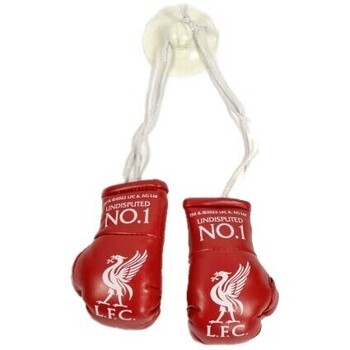 Accessoires Accessoires sport Liverpool Fc  Rouge