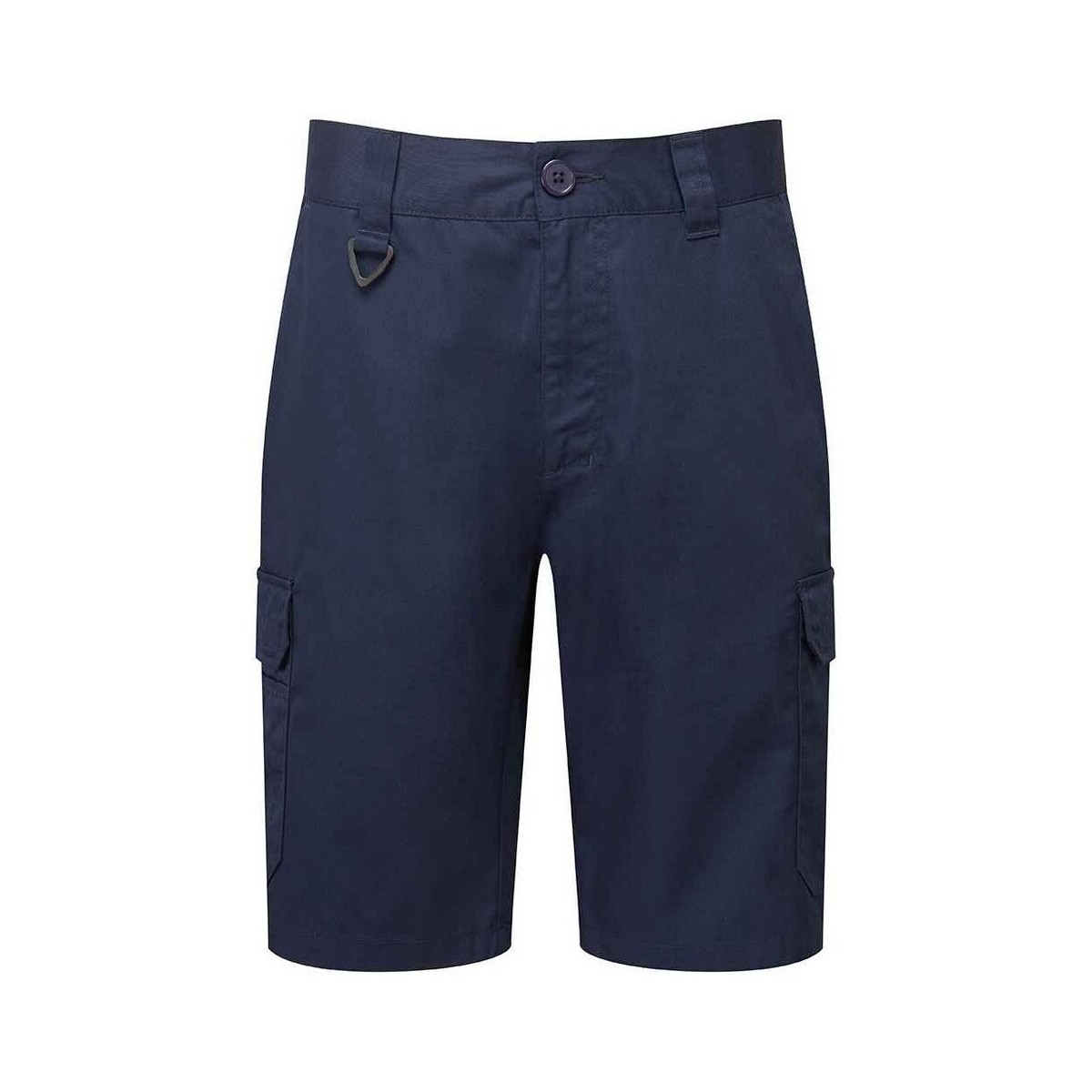 Vêtements Homme Shorts / Bermudas Premier PR564 Bleu