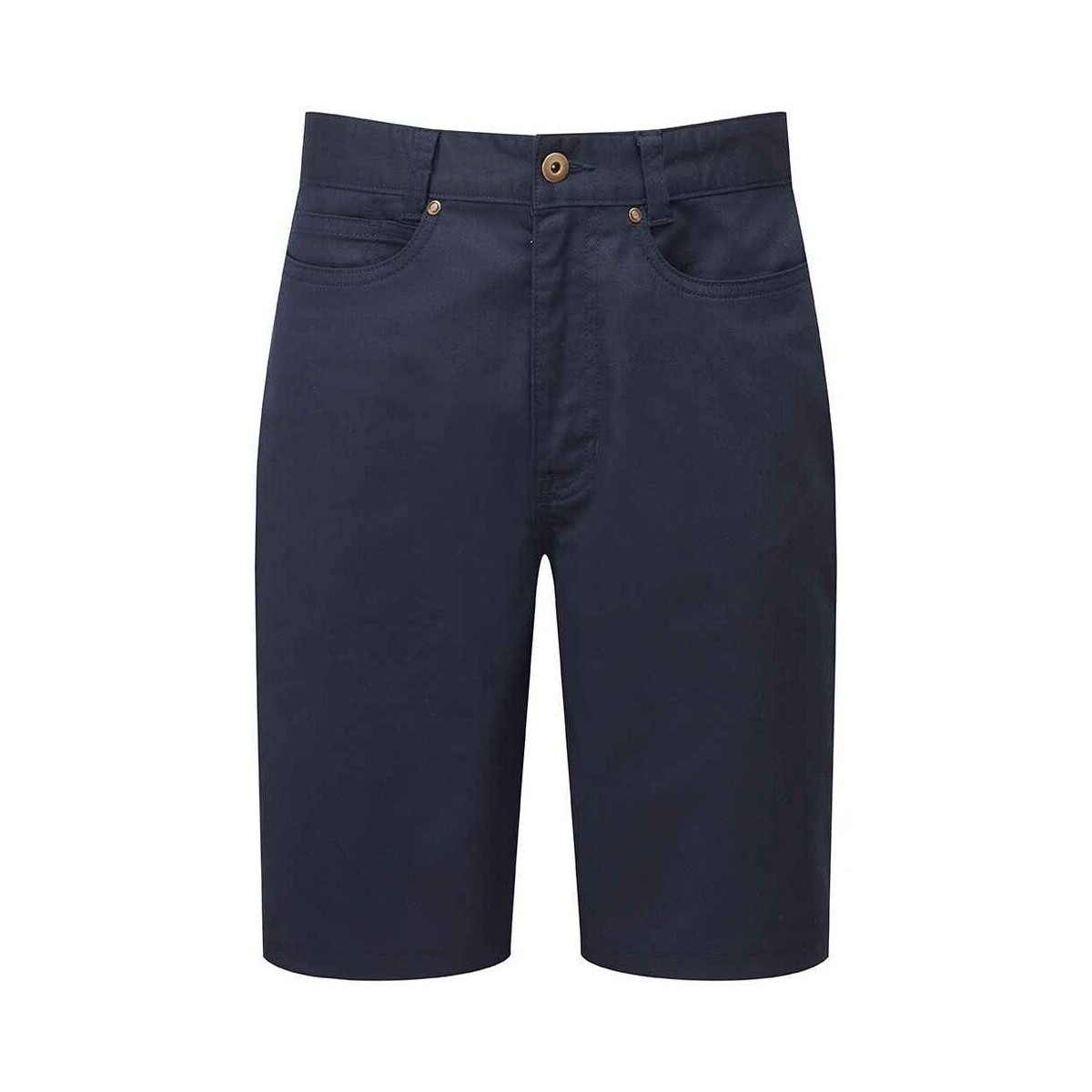 Vêtements Homme Shorts / Bermudas Premier PR562 Bleu