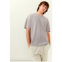 Vêtements Homme T-shirts manches courtes American Vintage Pyrastate Tee Argent Multicolore