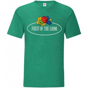 Vêtements Homme T-shirts manches courtes Fruit Of The Loom Leo Vert