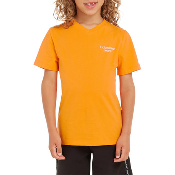 Vêtements Garçon T-shirts manches courtes Calvin Klein Jeans 144678VTPE23 Orange