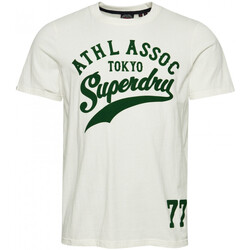 Vêtements Homme T-shirts & Polos Superdry Vintage home run Beige