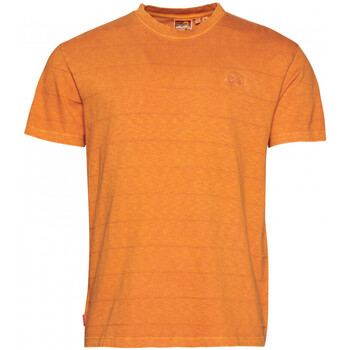 Vêtements Homme T-shirts & Polos Superdry Vintage texture Orange