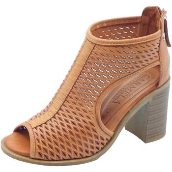 Chaussures Femme Low boots Carmela 160646 BN. Piel Marron