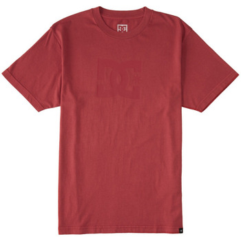 Vêtements Homme T-shirts manches courtes DC Shoes Dc Star Pigment Dye Rouge