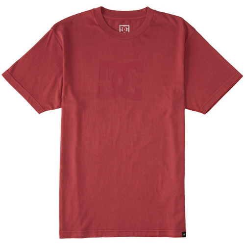 Vêtements Homme T-shirts manches courtes DC Shoes Dc Star Pigment Dye Rouge