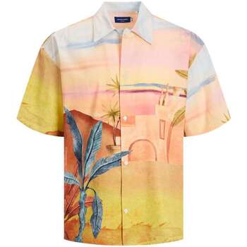 Vêtements Homme Chemises manches longues Jack & Jones 146764VTPE23 Multicolore